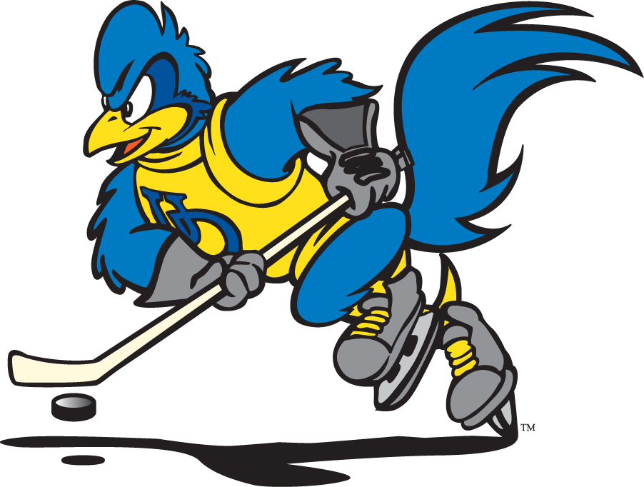 Delaware Blue Hens 1999-2009 Mascot Logo v13 diy iron on heat transfer